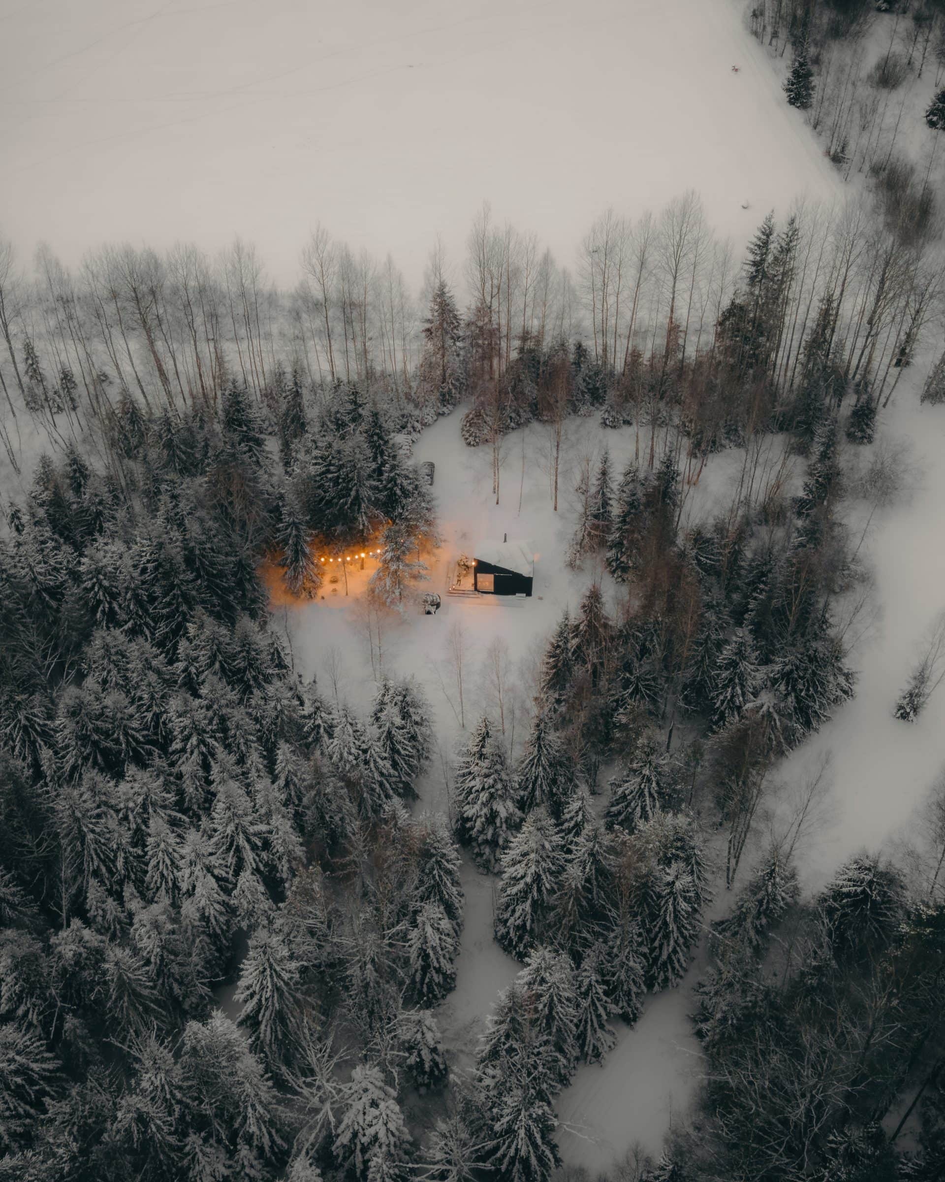 The cabin tiny in the vast Latvian forest, seen from above