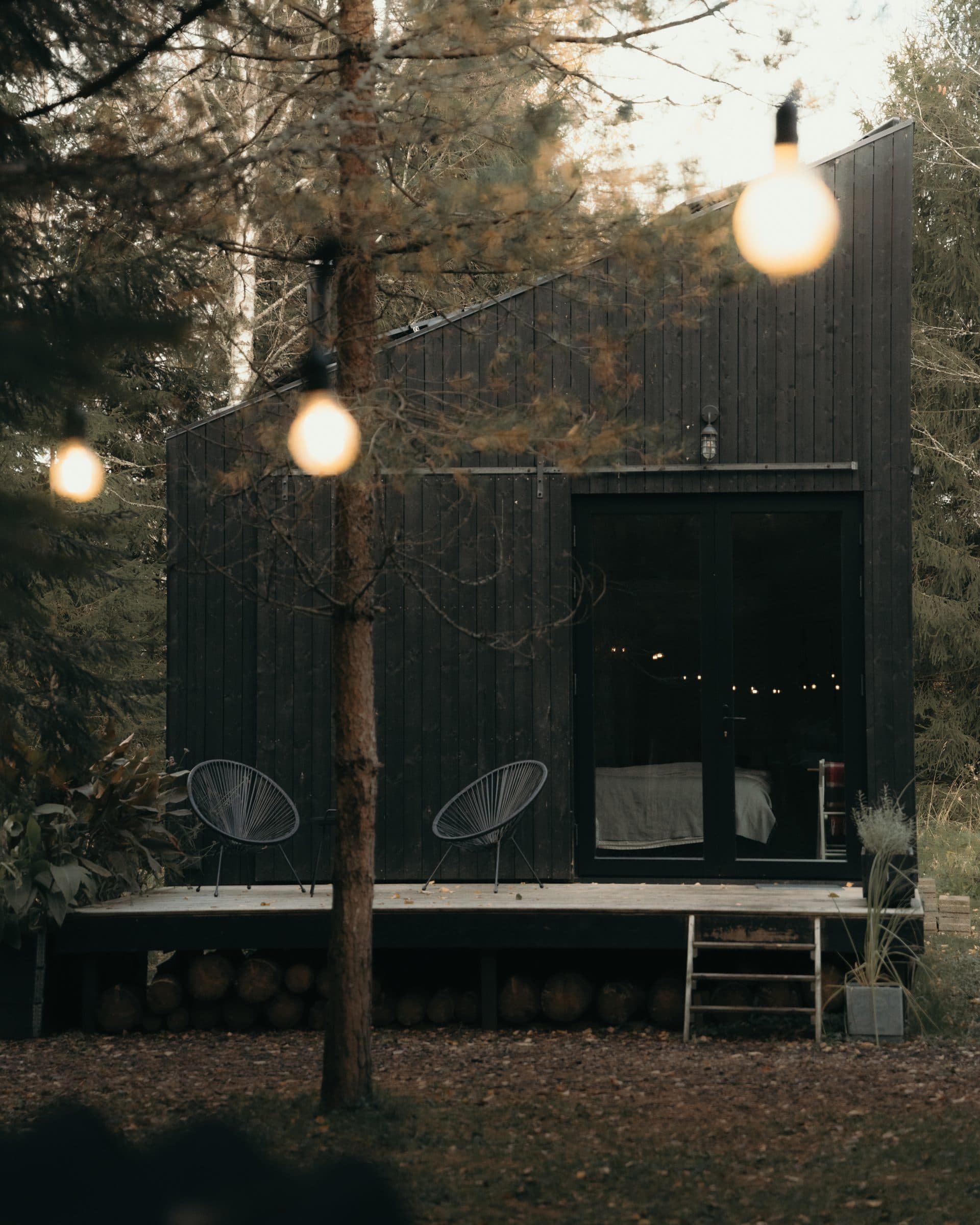 String lights in autumn forest at night, soft fog