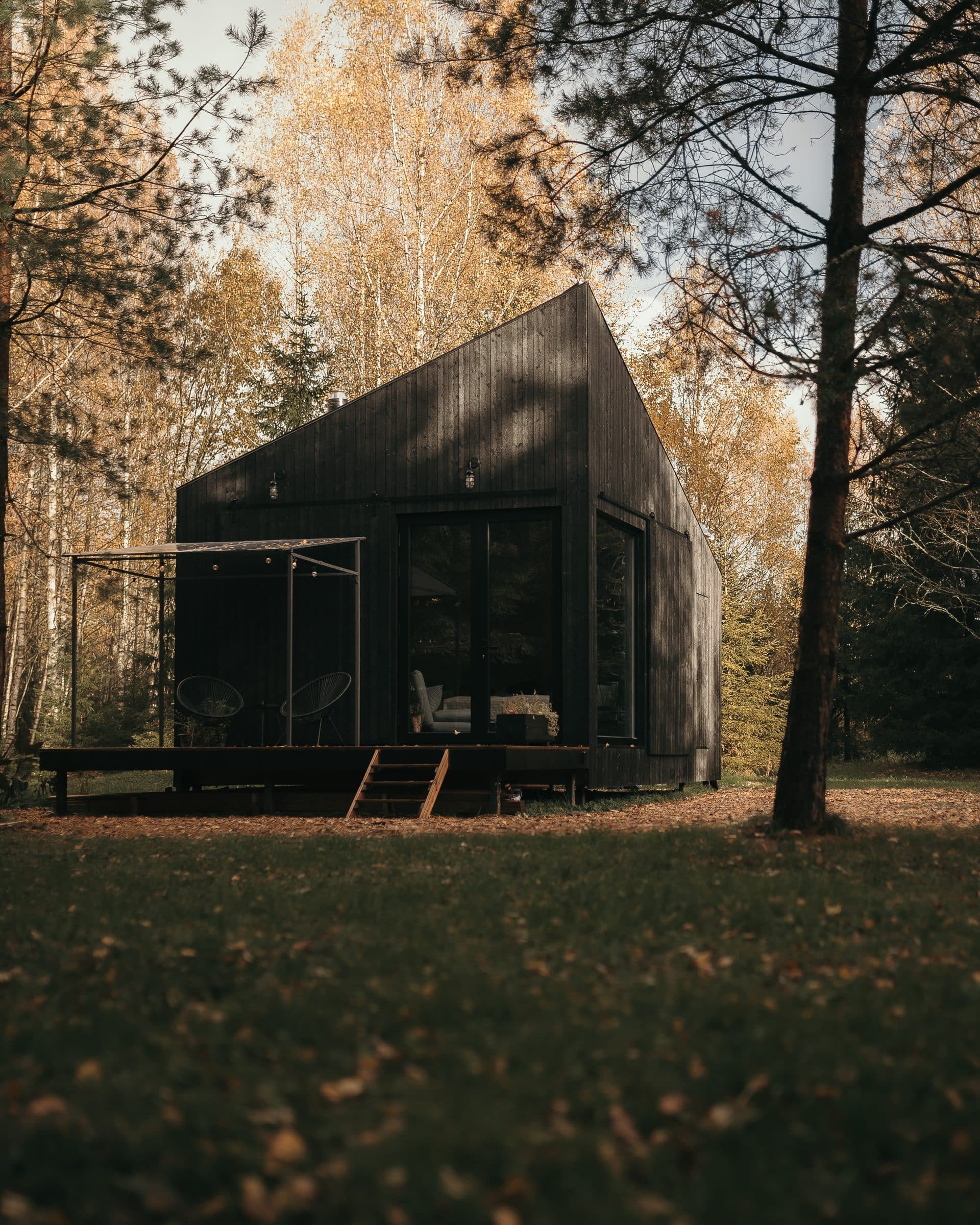 The cabin in autumn — black spruce, asymmetric pitch, birches behind
